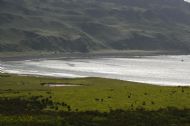 Laig bay